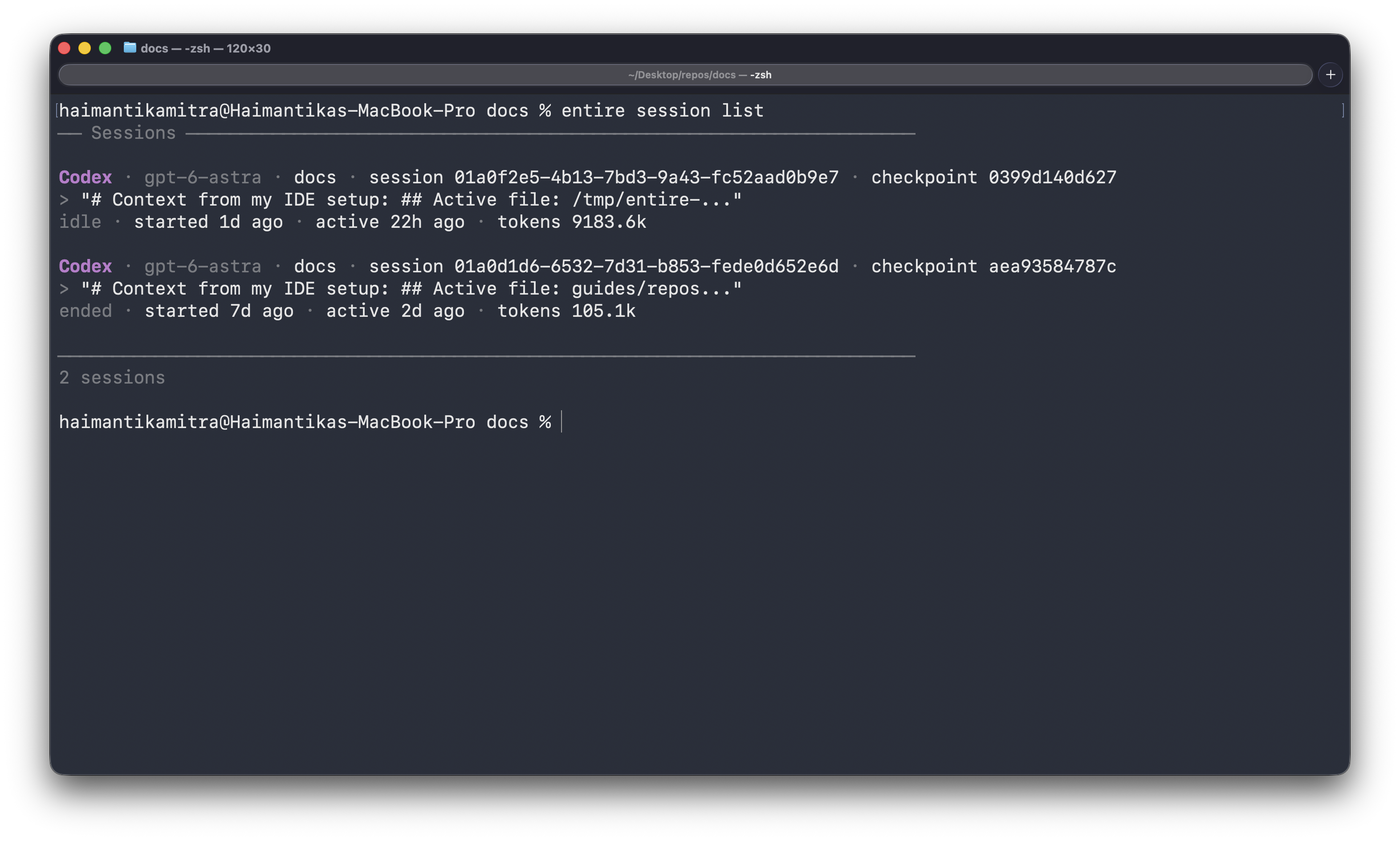 Output of entire session list showing recorded Codex sessions